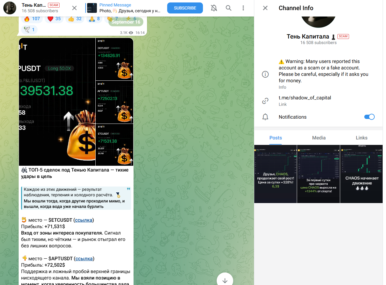 тень капитала тень капитала
