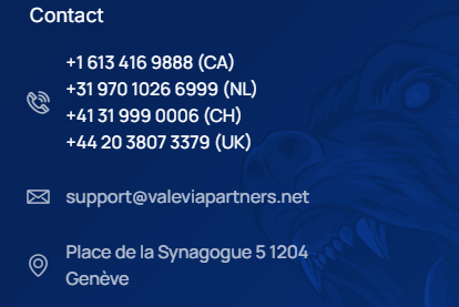 брокер valevia partners брокер valevia partners