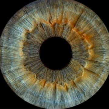 Говорит Дроган