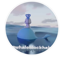 Киты не Спят