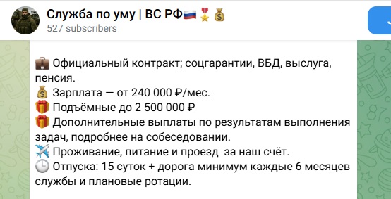 отзывы morfkadrovik в телеграм отзывы morfkadrovik в телеграм