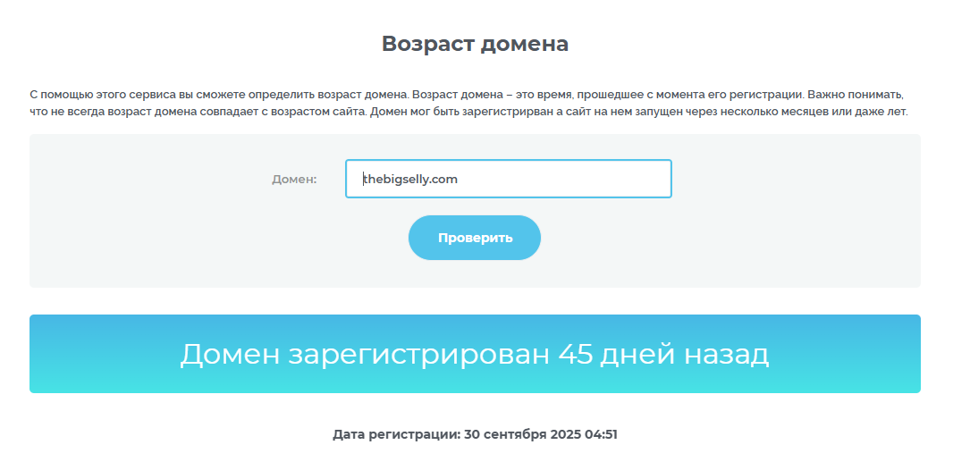 thebigselly com thebigselly com