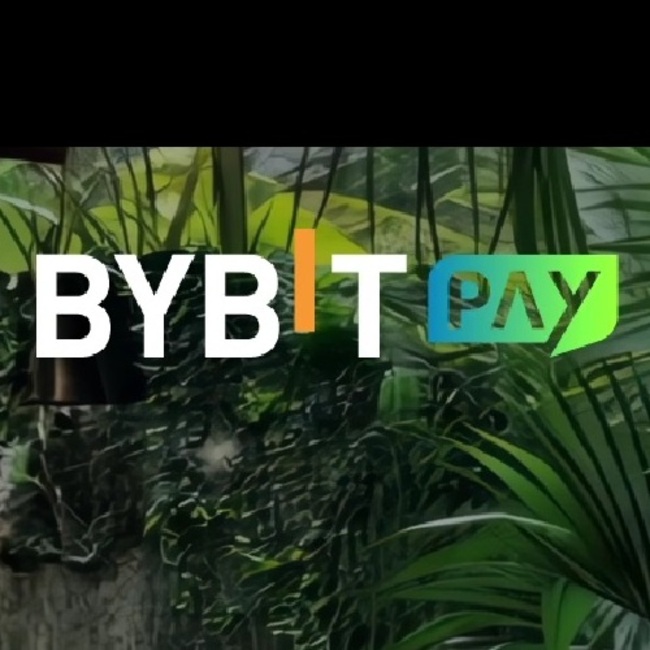 Bybit Pay
