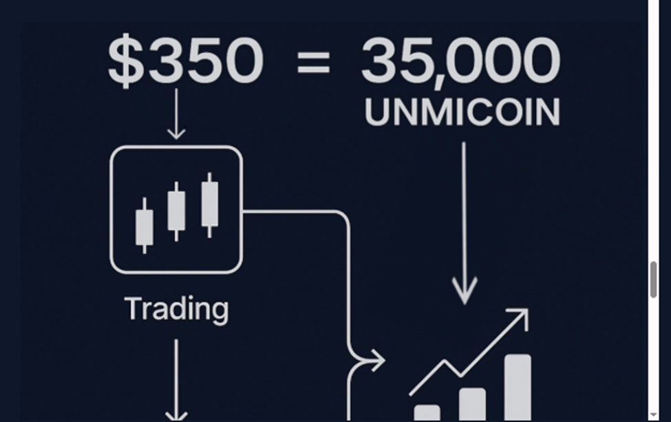 contact@unmico.me contact@unmico.me