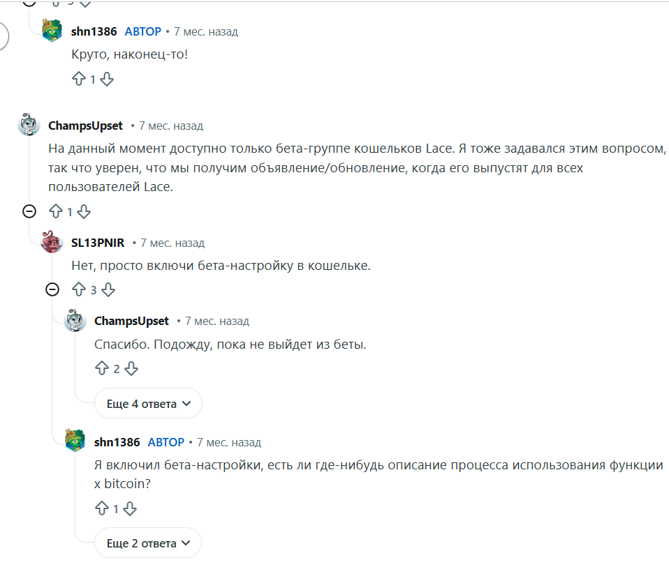 lace кошелек lace кошелек