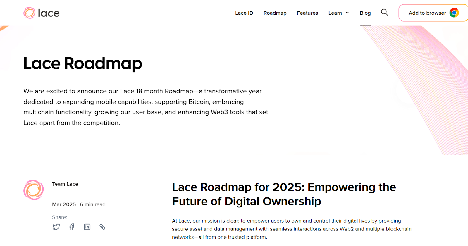 lace wallet lace wallet