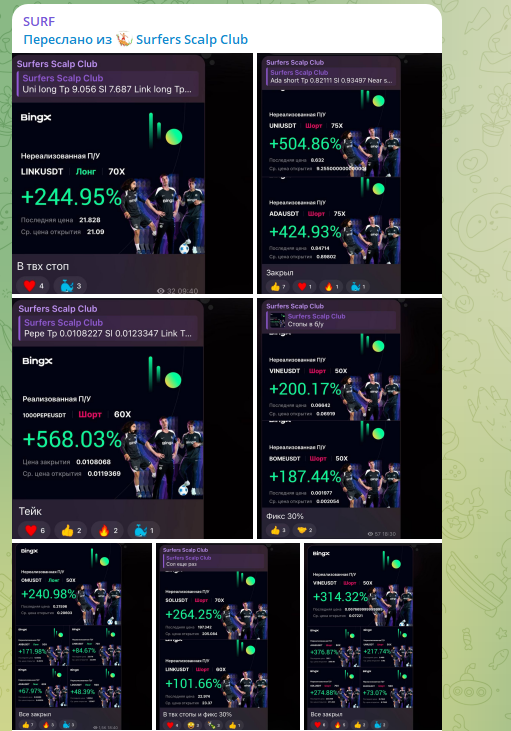 sasha1996goat sasha1996goat