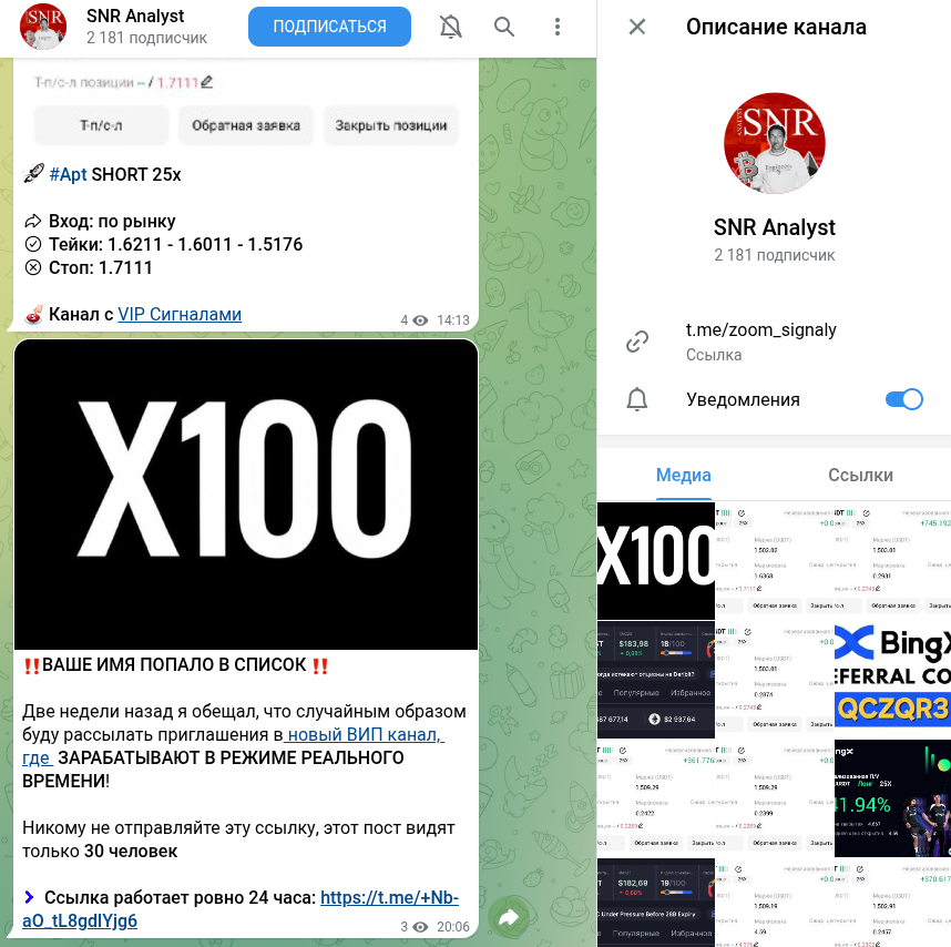 snr analyst snr analyst