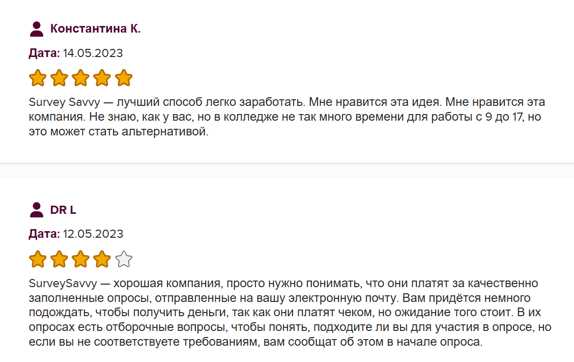 surveysavvy surveysavvy