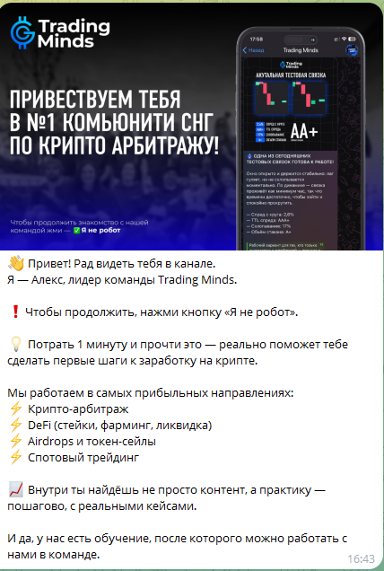 трейдинг миндс трейдинг миндс