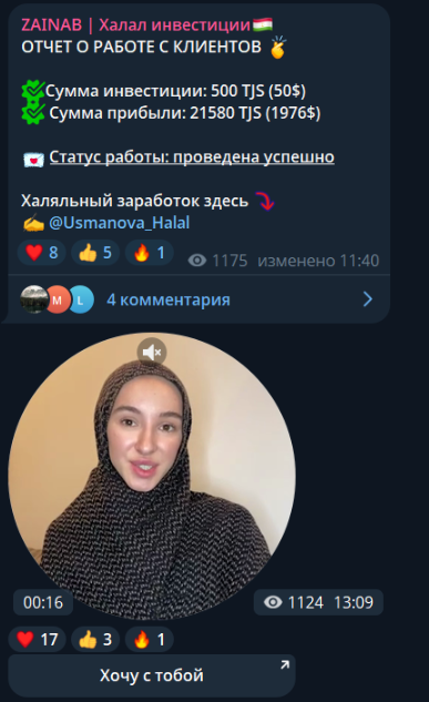 zainabtrade zainabtrade