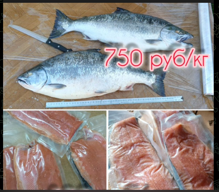 приморье морепродукты телеграмм отзывы приморье морепродукты телеграмм отзывы