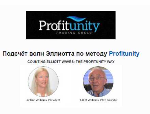 теория хаоса Билла Вильямса теория хаоса Билла Вильямса