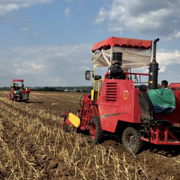 Агрочеснок Инвестиции