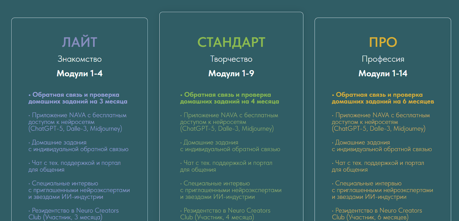 академия нейровизуала академия нейровизуала