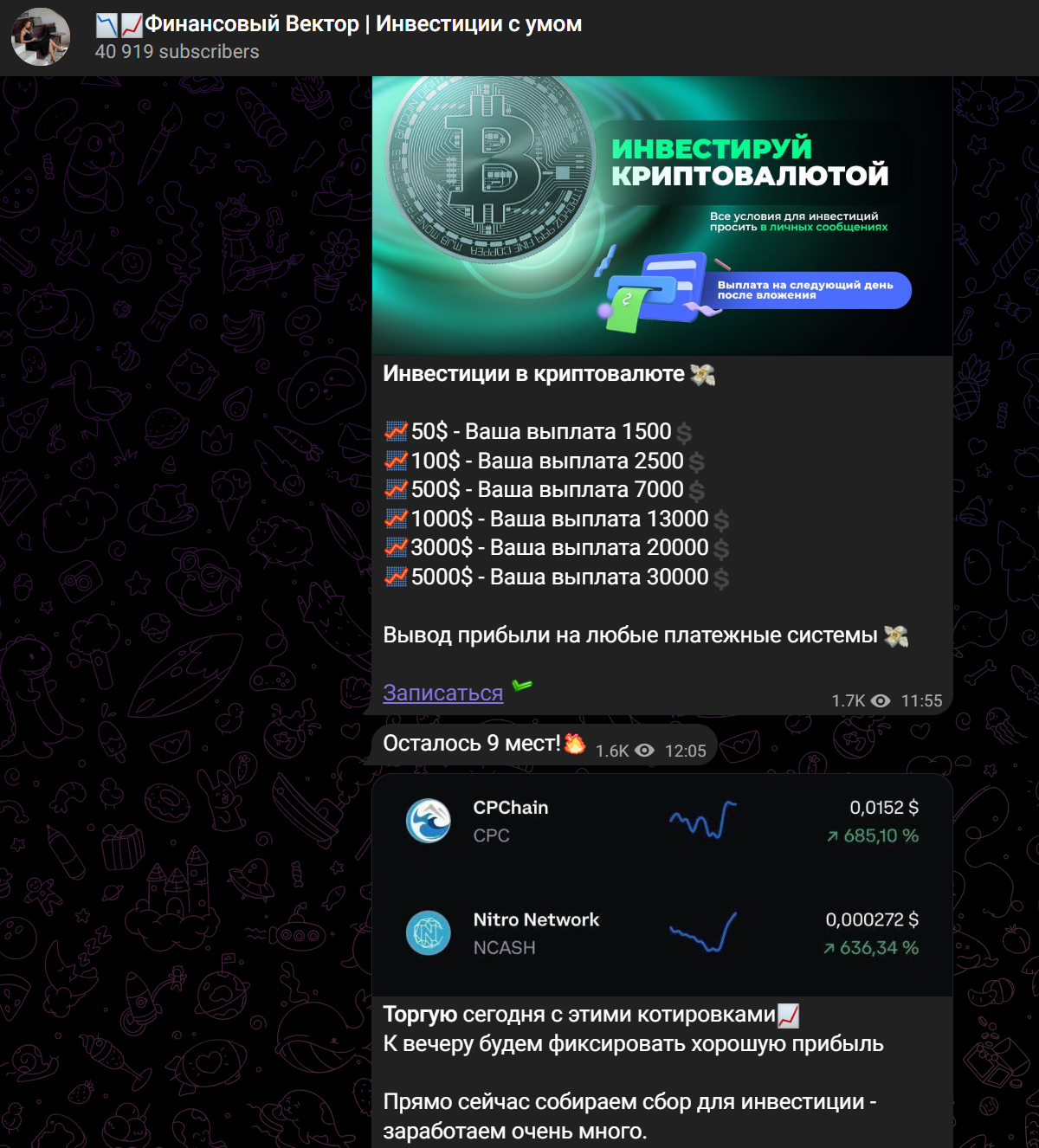 Финансовый вектор Инвестиции с умом инвестиции Финансовый вектор Инвестиции с умом инвестиции