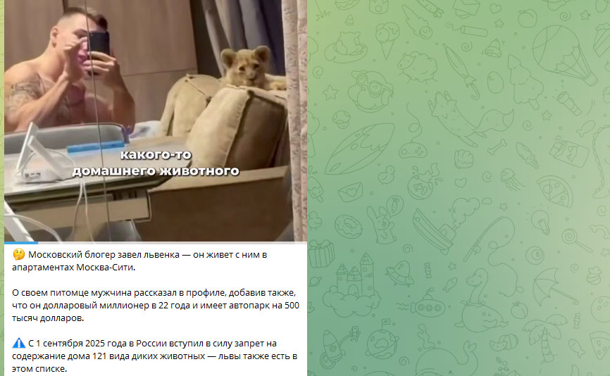 Котов 1 по шортам отзывы Котов 1 по шортам отзывы