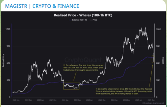 магистр крипто финанс магистр крипто финанс