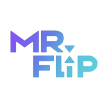 Mr Flip