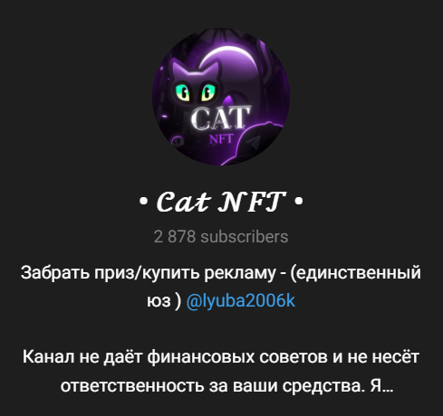 отзывы о канале cat nft условия розыгрышей отзывы о канале cat nft условия розыгрышей