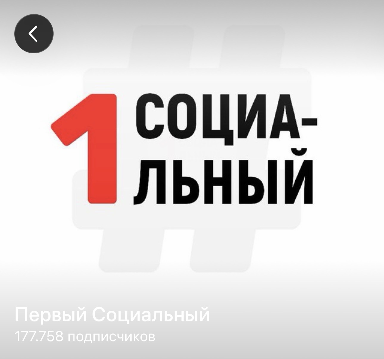 первый социальный канал телеграмм отзывы первый социальный канал телеграмм отзывы