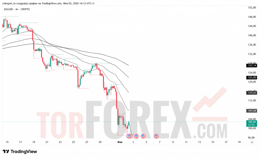 solusd-prognoz-03.02.2026