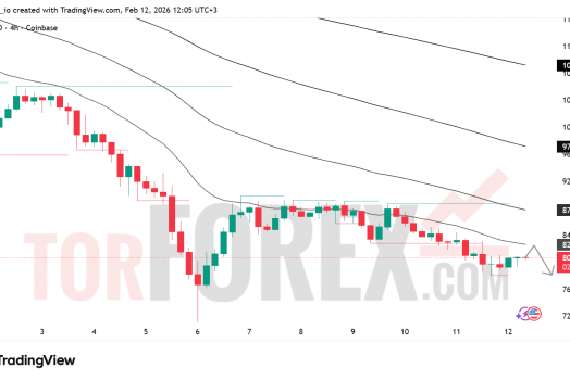 Прогноз цены SOL/USD на 13 февраля 2026 года