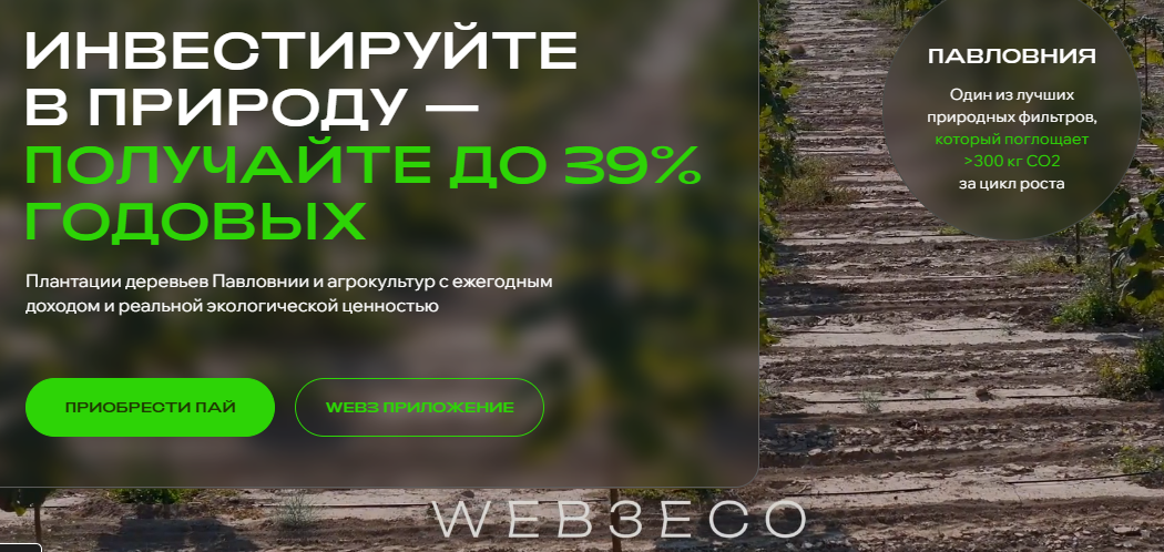 веб 3 эко веб 3 эко