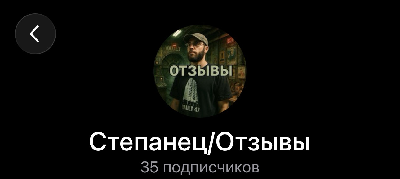 вова степанец обучение ютуб отзывы вова степанец обучение ютуб отзывы
