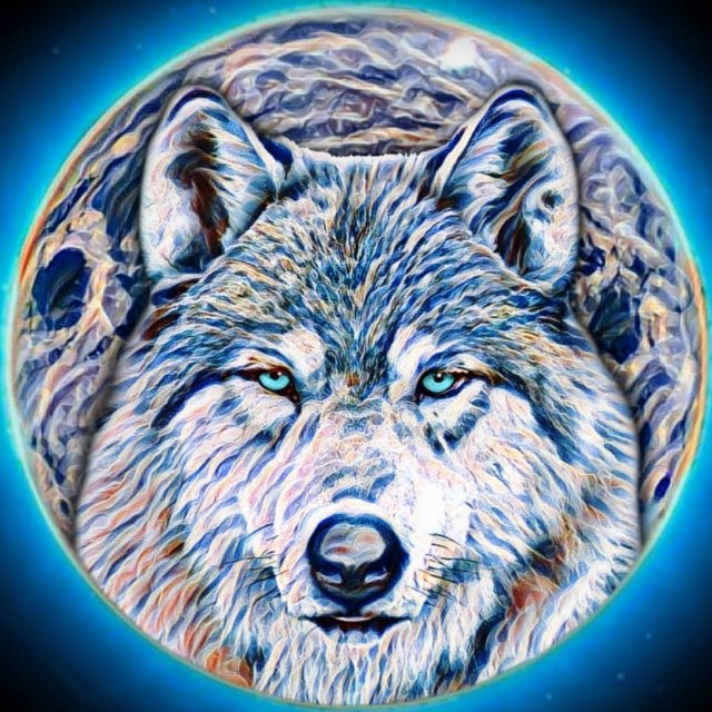 Winter Wolves Trading