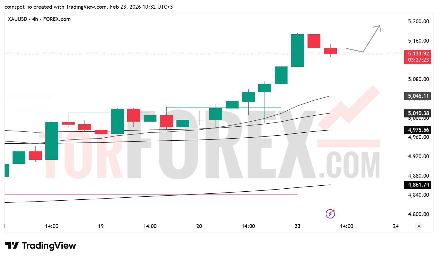 Прогноз цены XAU/USD на 24 февраля 2026 года