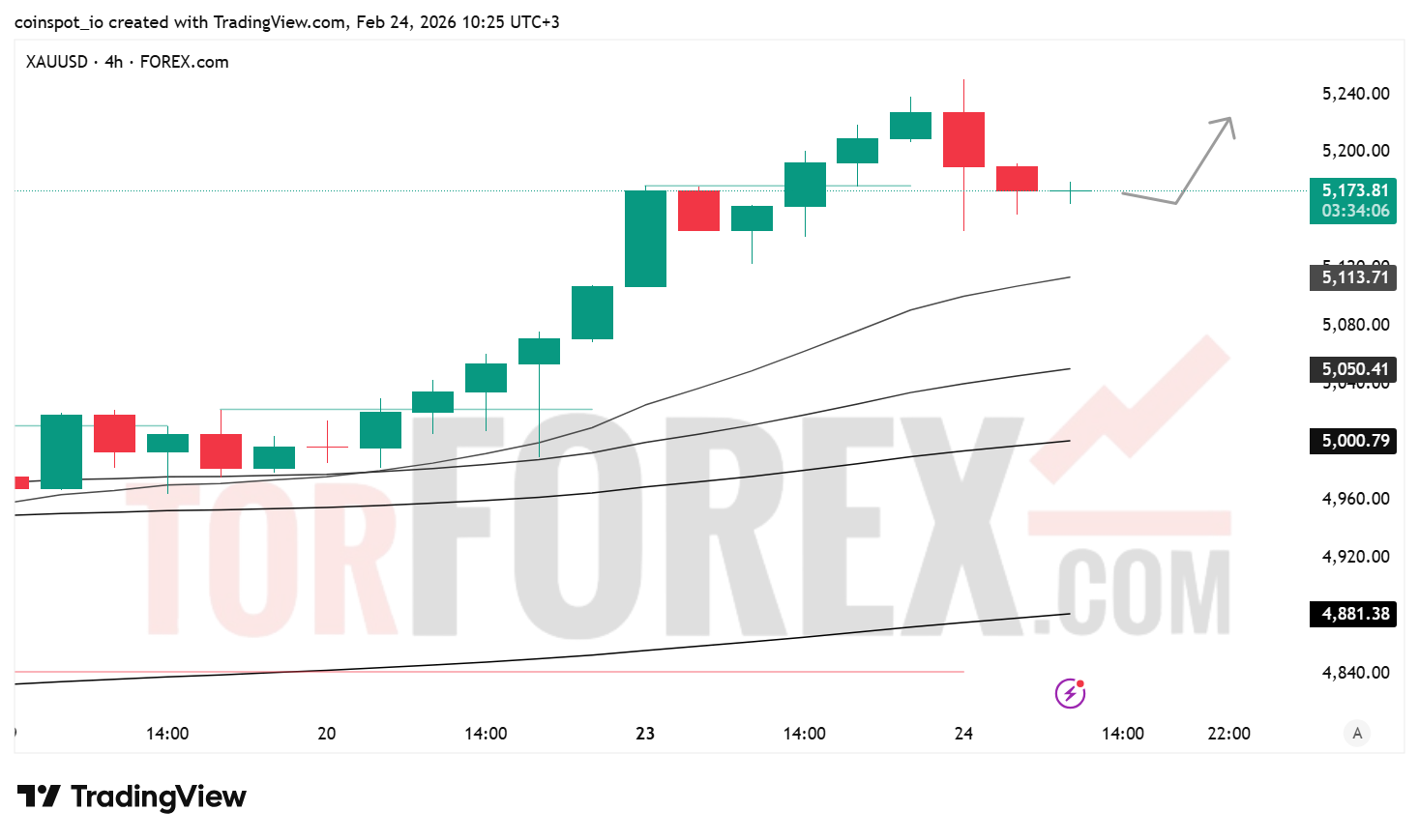 Прогноз цены XAU/USD на 25 февраля 2026 года
