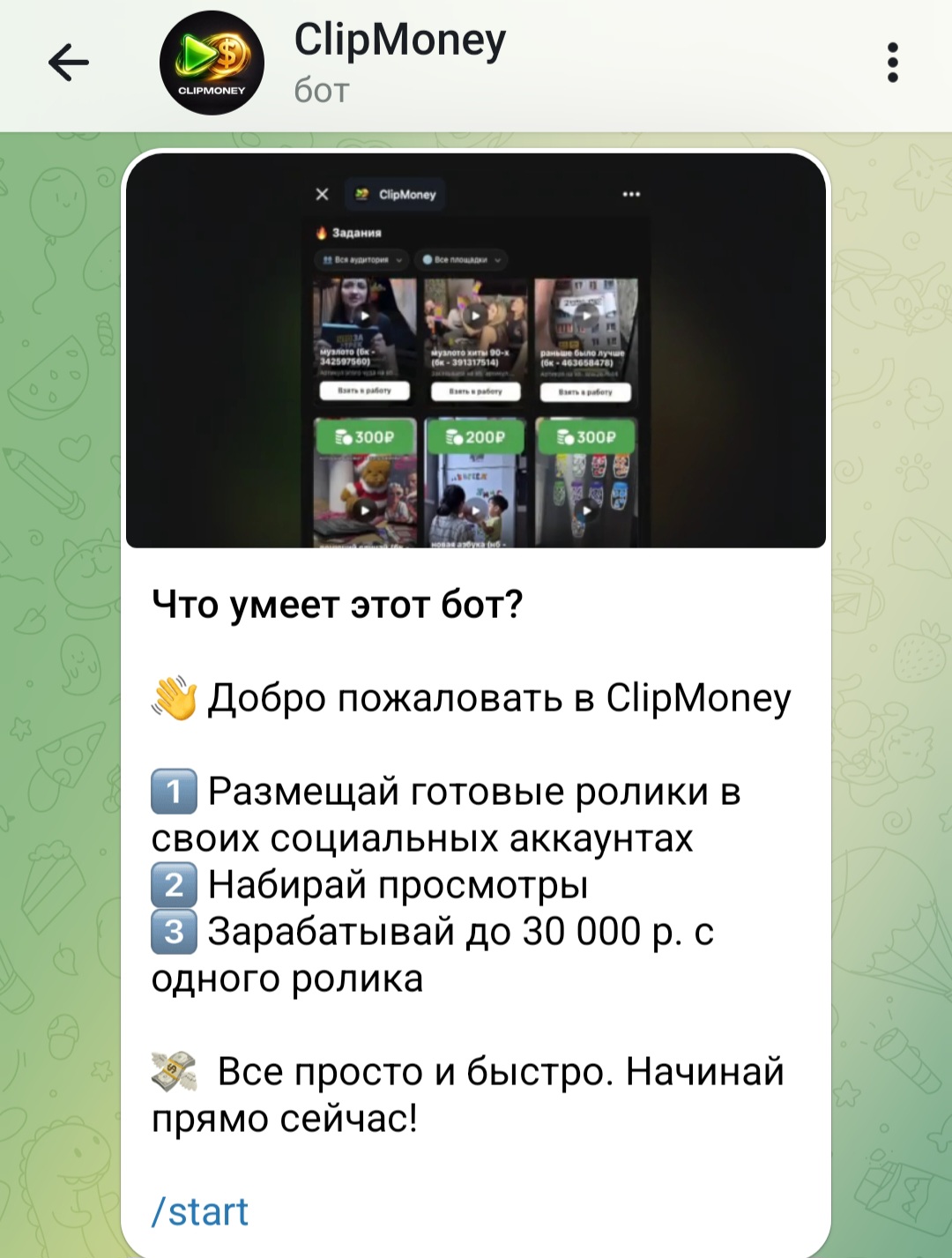 clip money bot отзывы clip money bot отзывы