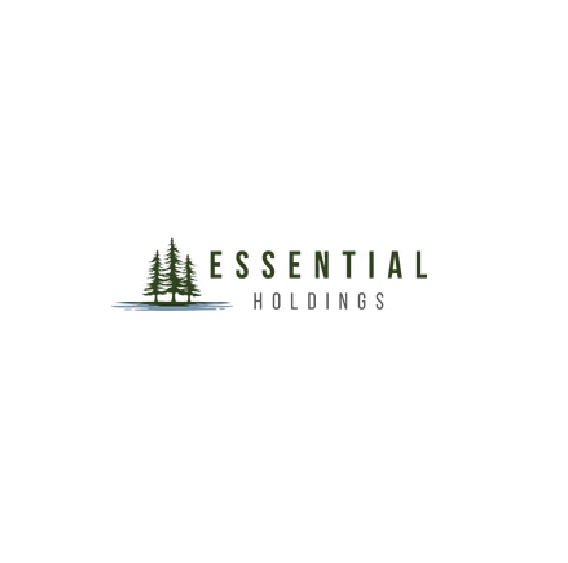 Essential Holding Limited