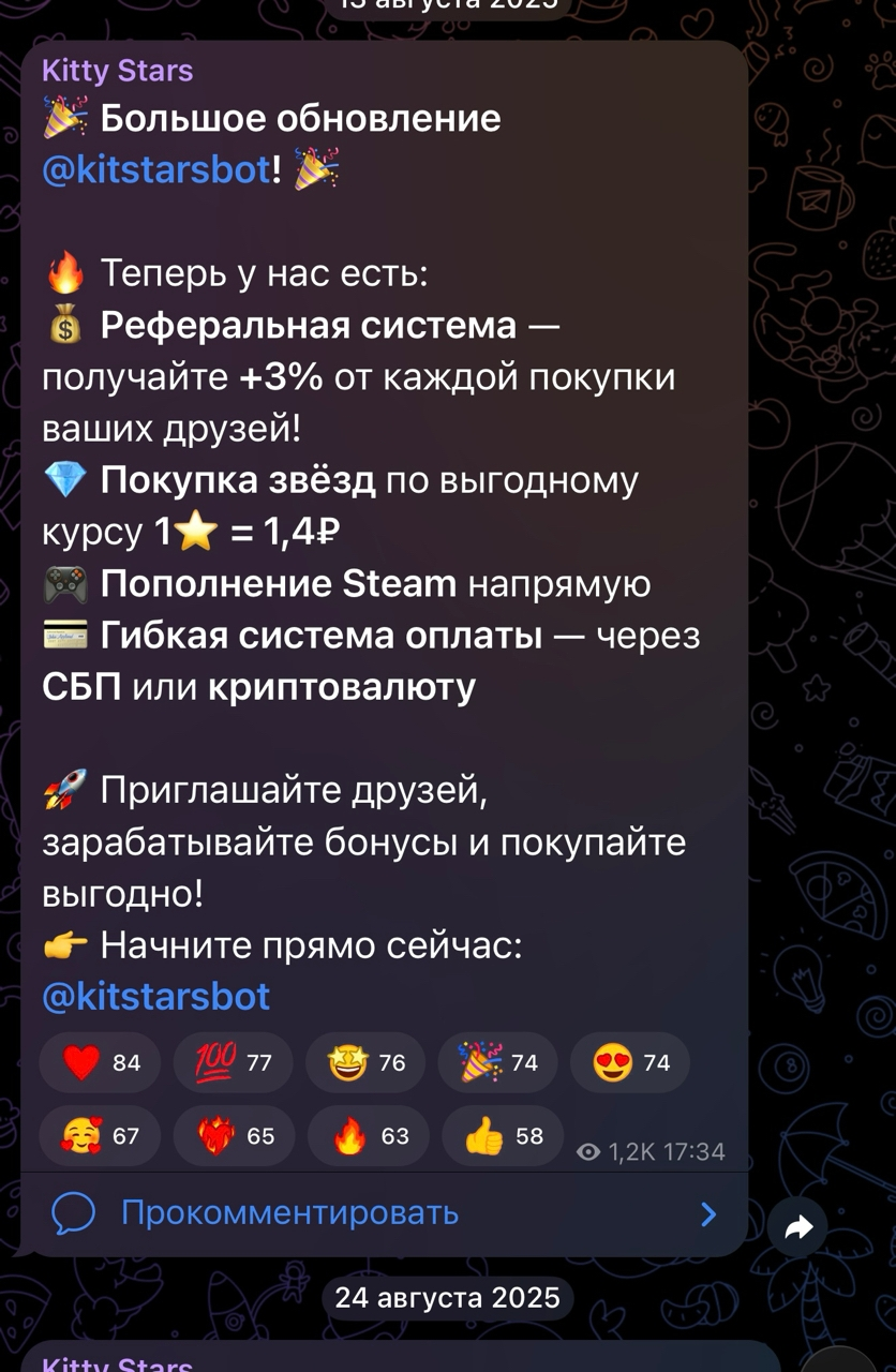 kitty stars kitty stars