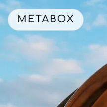 Meta Box