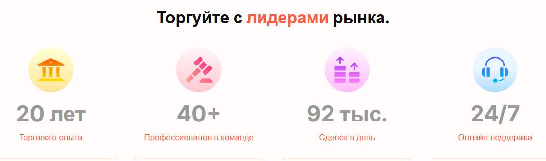 platform xltd com platform xltd com