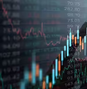 Stock Exchange Investment