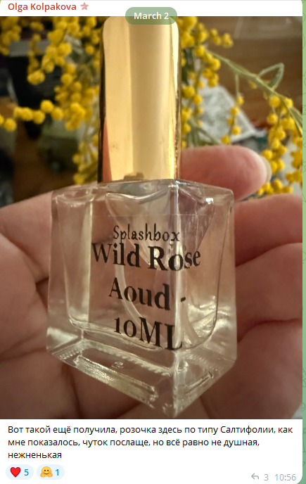 телеграм канал духи парфюм отзывы телеграм канал духи парфюм отзывы