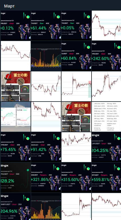 andrew fuji andrew fuji