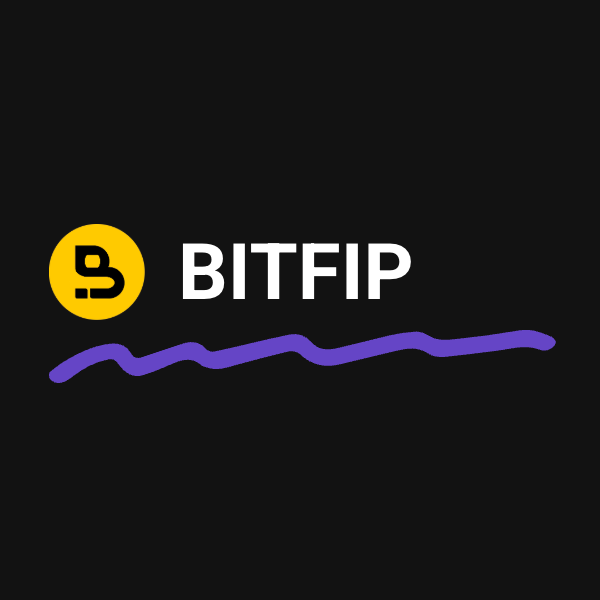 Bitfip