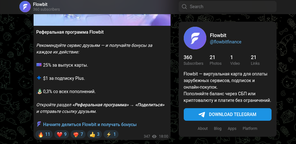 flowbitfinance bot flowbitfinance bot