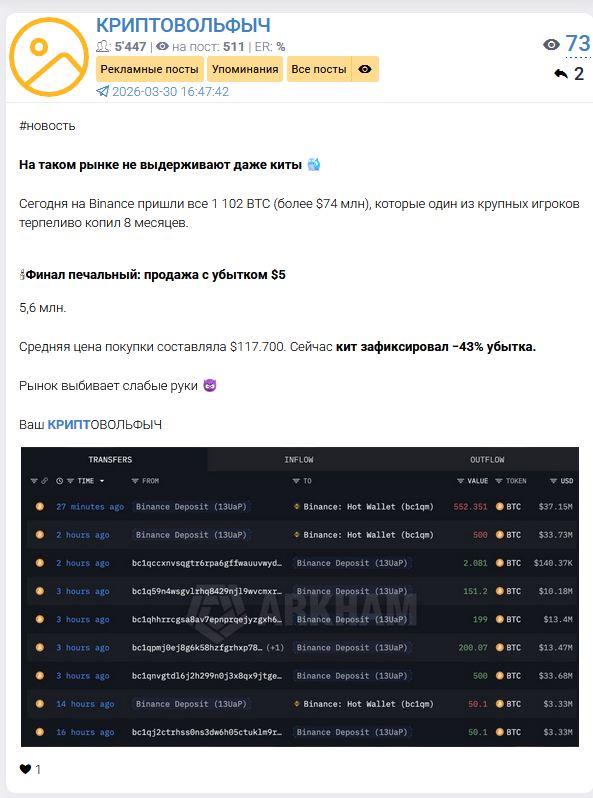 криптовольфыч криптовольфыч