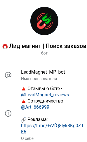 leadmagnet mp bot leadmagnet mp bot