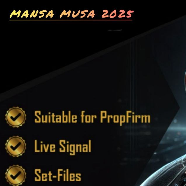 Mansa Musa Flipping Robot