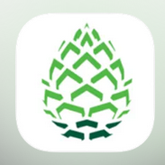 Pinecone Research