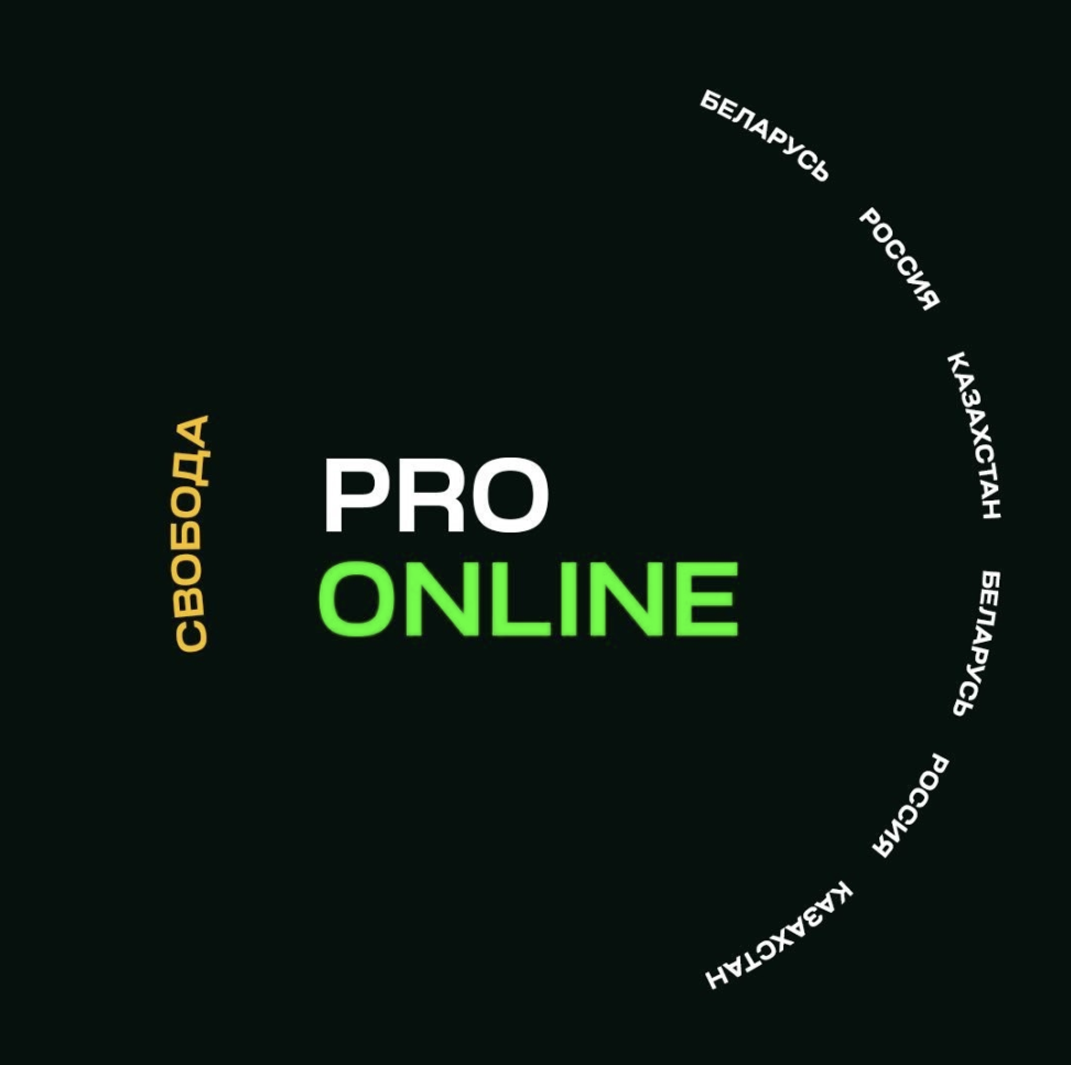 Pro Online Academy