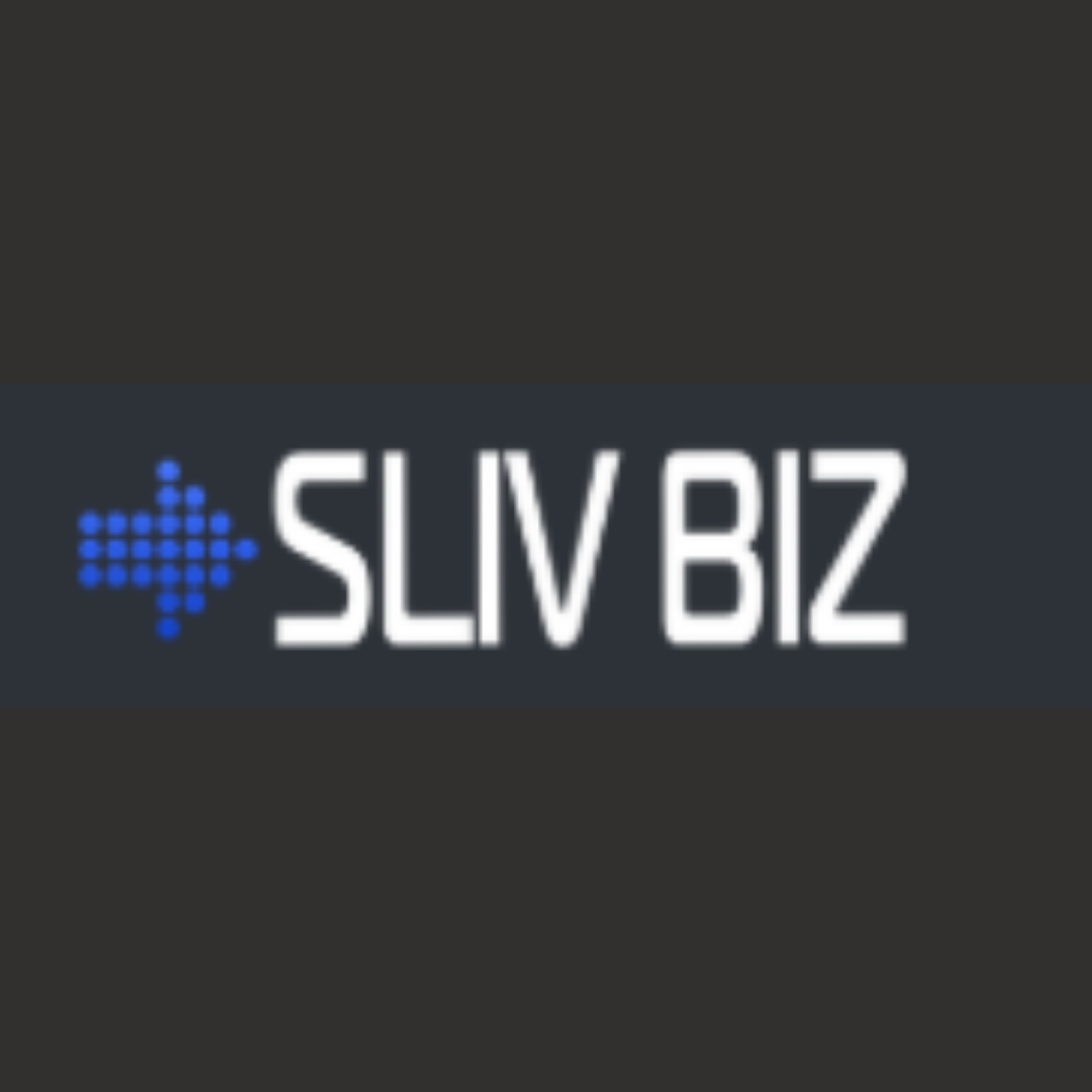 Slivbiz