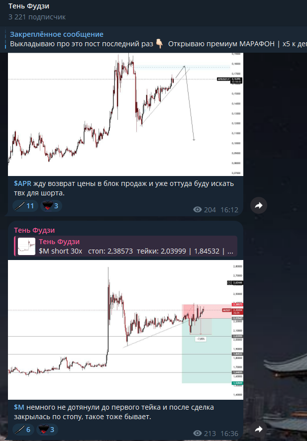 тень фудзи тень фудзи
