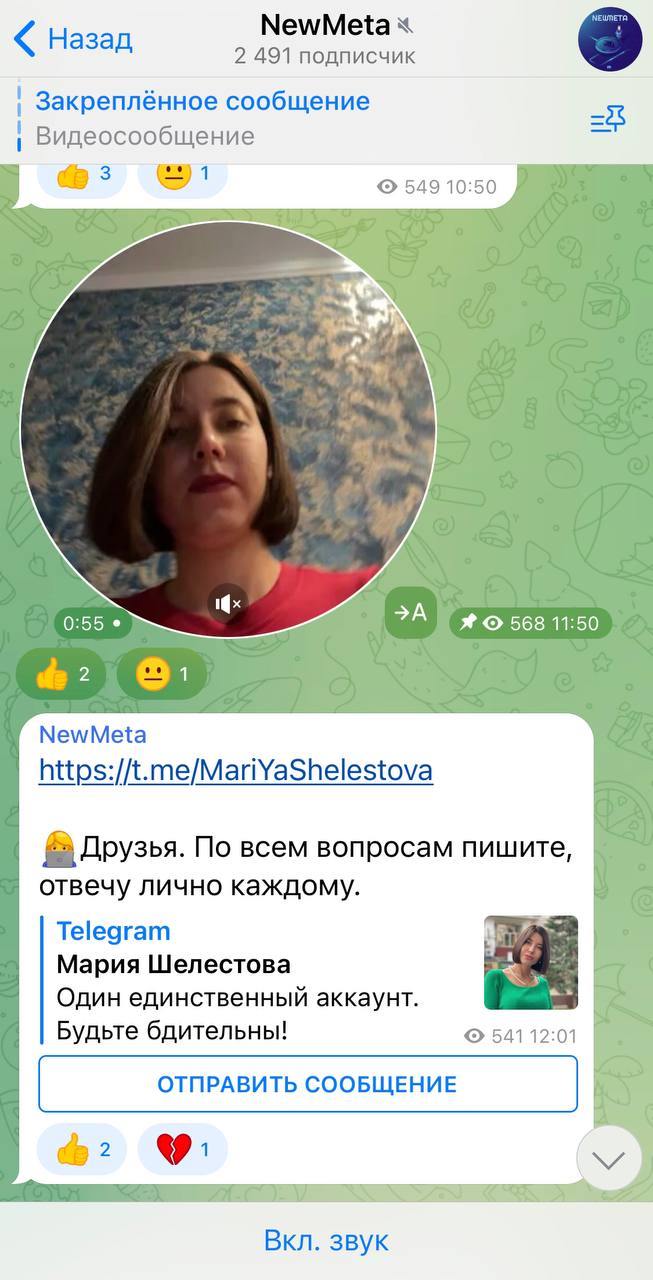 newmeta мария шелестова newmeta мария шелестова